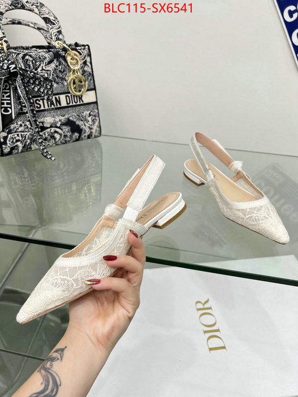 Women Shoes-Dior designer fake ID: SX6541 $: 115USD