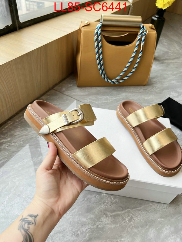 Women Shoes-CELINE how to start selling replica ID: SC6441 $: 85USD