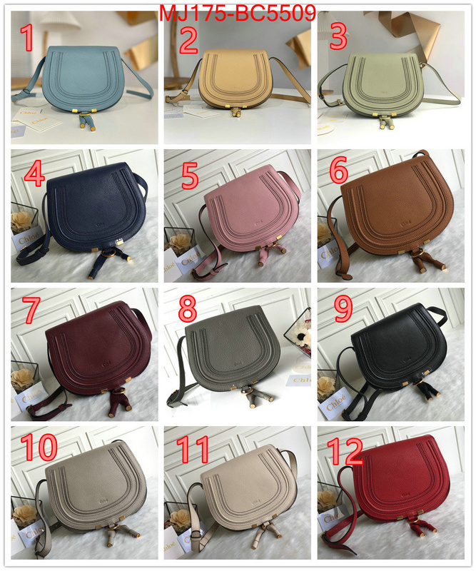 Chloe Bags(TOP)-Diagonal practical and versatile replica designer ID: BC5509