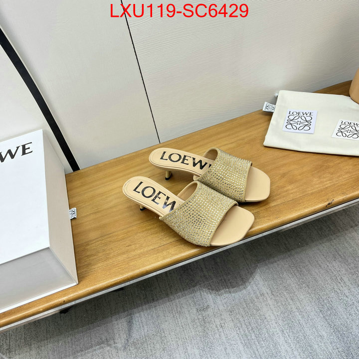 Women Shoes-Loewe where can i buy the best quality ID: SC6429 $: 119USD