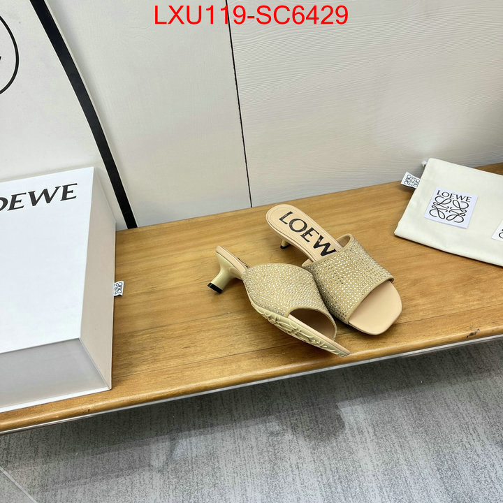 Women Shoes-Loewe where can i buy the best quality ID: SC6429 $: 119USD