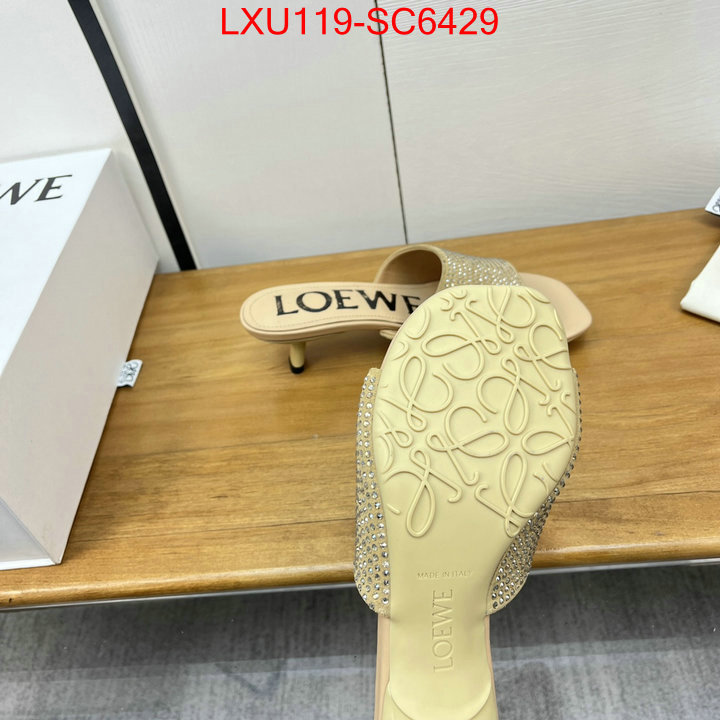 Women Shoes-Loewe where can i buy the best quality ID: SC6429 $: 119USD