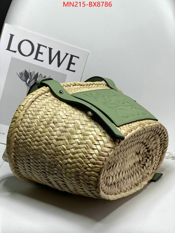 Loewe Bags(TOP)-Handbag- what best replica sellers ID: BX8786