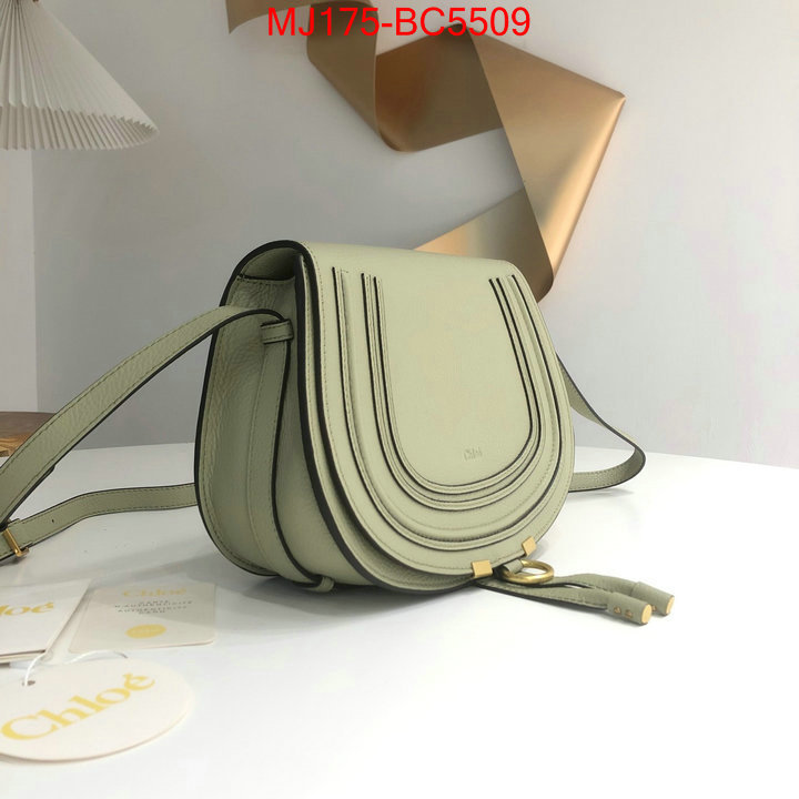 Chloe Bags(TOP)-Diagonal practical and versatile replica designer ID: BC5509