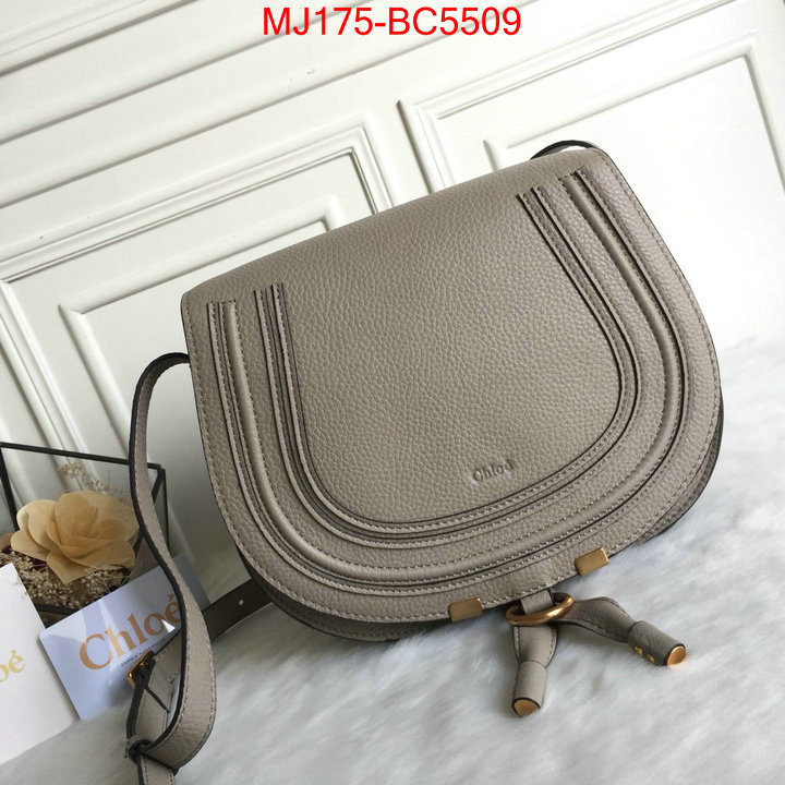 Chloe Bags(TOP)-Diagonal practical and versatile replica designer ID: BC5509