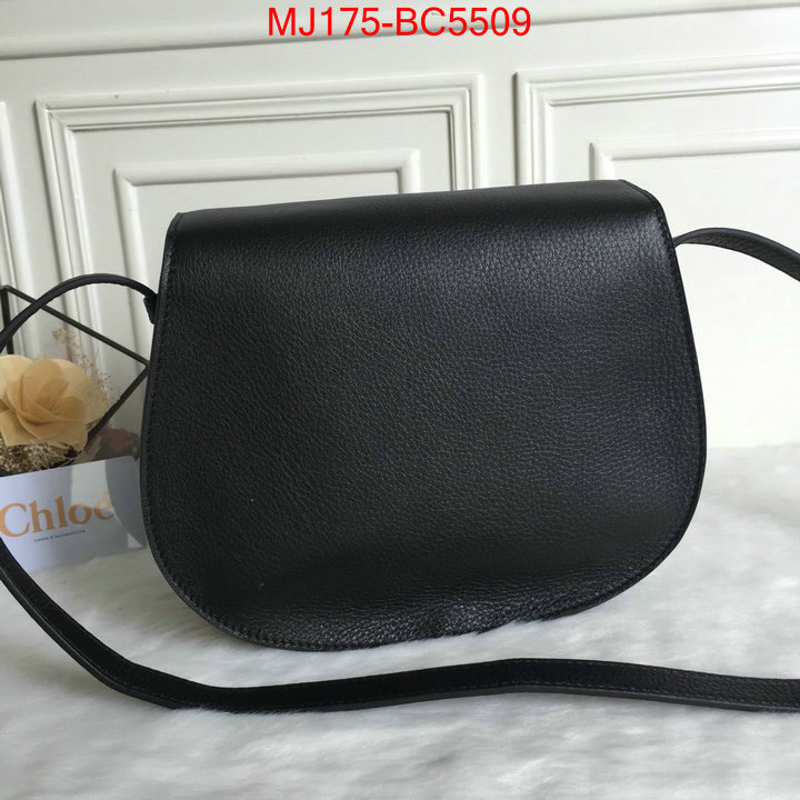 Chloe Bags(TOP)-Diagonal practical and versatile replica designer ID: BC5509