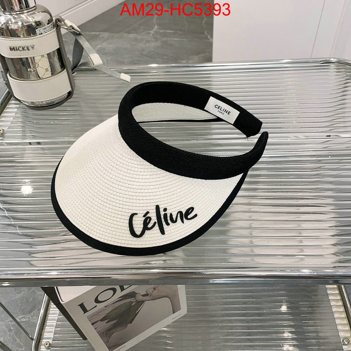 Cap(Hat)-Celine for sale cheap now ID: HC5393 $: 29USD