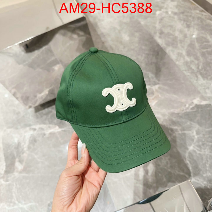 Cap(Hat)-Celine good ID: HC5388 $: 29USD