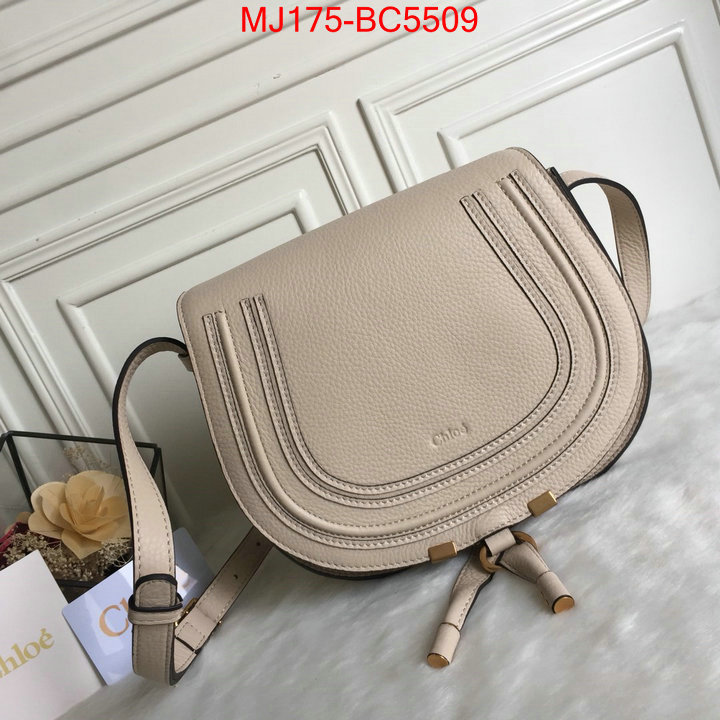 Chloe Bags(TOP)-Diagonal practical and versatile replica designer ID: BC5509