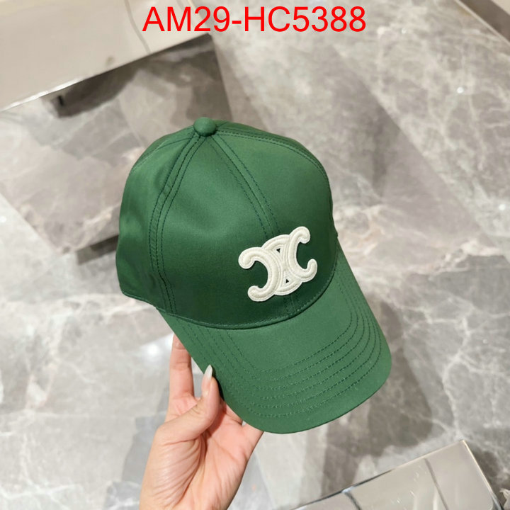Cap(Hat)-Celine good ID: HC5388 $: 29USD