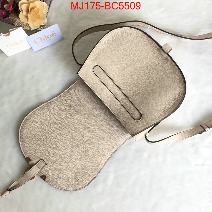 Chloe Bags(TOP)-Diagonal practical and versatile replica designer ID: BC5509