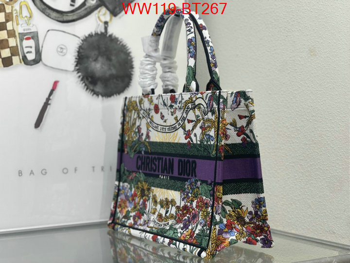 Dior Big Sale ID: BT267