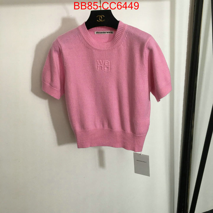 Clothing-Alexander Wang replicas buy special ID: CC6449 $: 85USD