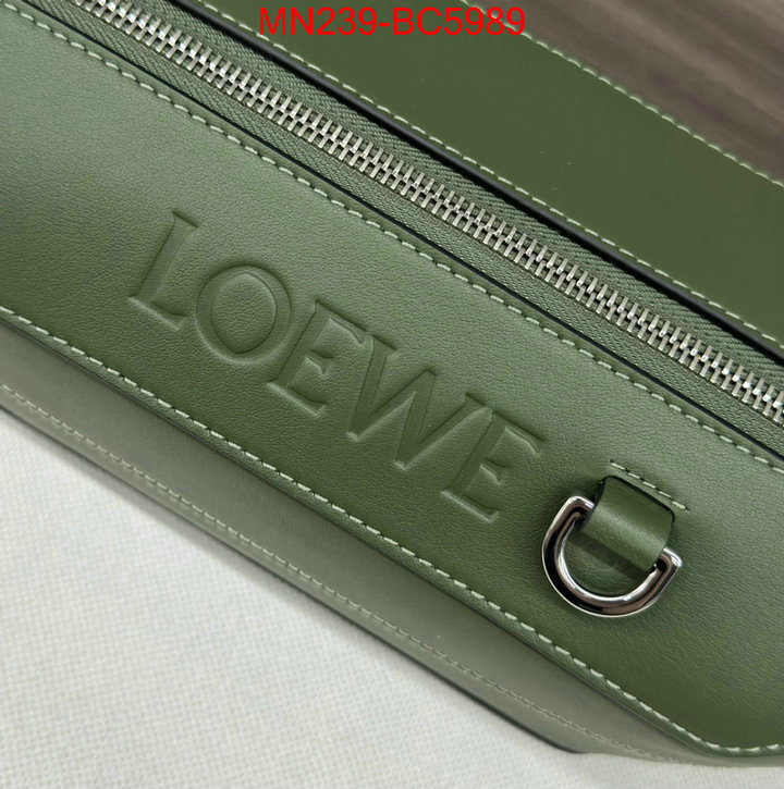 Loewe Bags(TOP)-Diagonal- high quality aaaaa replica ID: BC5989 $: 239USD,
