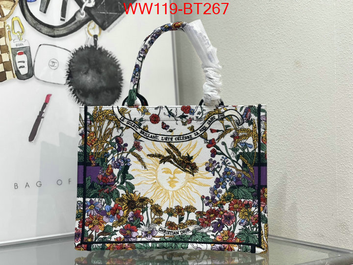 Dior Big Sale ID: BT267