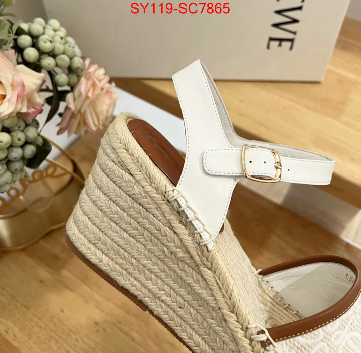 Women Shoes-Loewe fake high quality ID: SC7865 $: 119USD