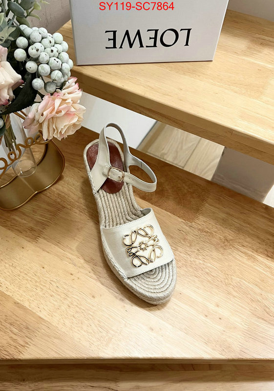 Women Shoes-Loewe wholesale china ID: SC7864 $: 119USD