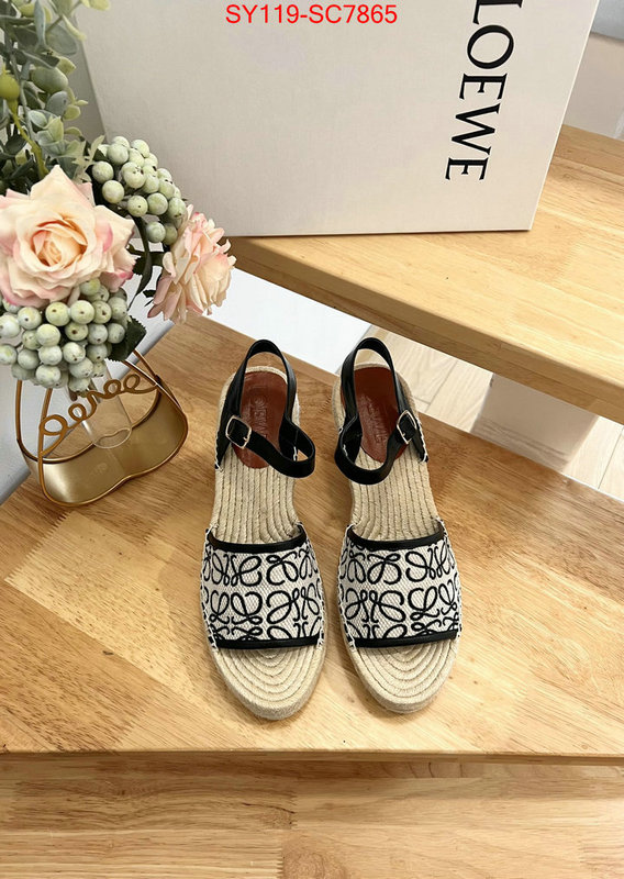 Women Shoes-Loewe fake high quality ID: SC7865 $: 119USD