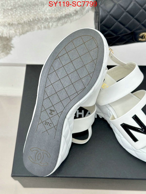 Women Shoes-Chanel the online shopping ID: SC7799 $: 119USD