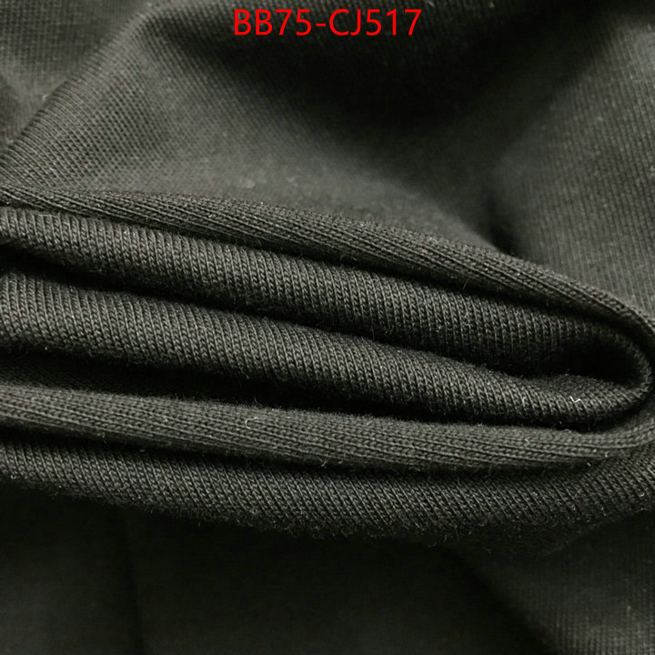 Clothing-Balenciaga high quality ID: CJ517 $: 75USD