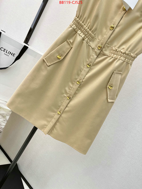 Clothing-Celine what's best ID: CJ525 $: 119USD