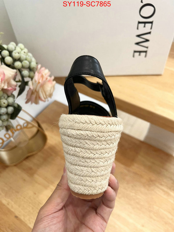 Women Shoes-Loewe fake high quality ID: SC7865 $: 119USD