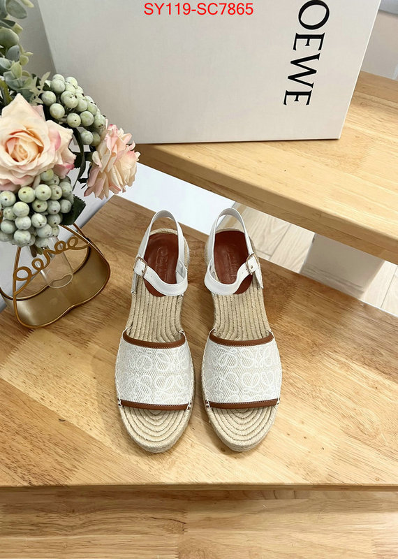 Women Shoes-Loewe fake high quality ID: SC7865 $: 119USD