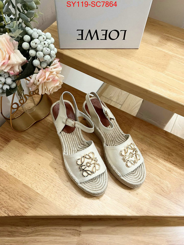 Women Shoes-Loewe wholesale china ID: SC7864 $: 119USD