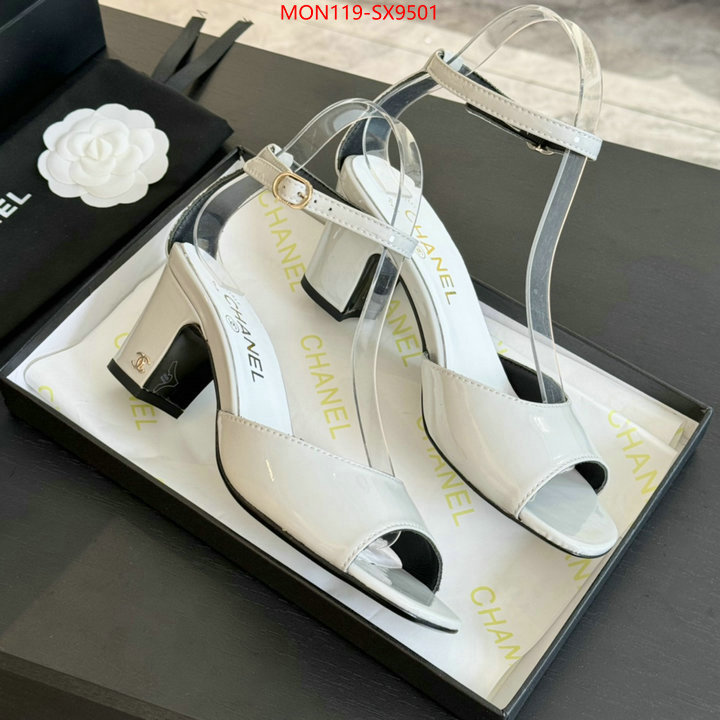 Women Shoes-Chanel where can i buy ID: SX9501 $: 119USD