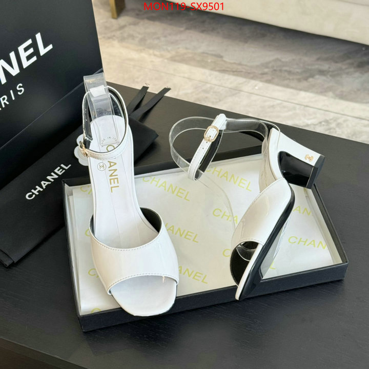 Women Shoes-Chanel where can i buy ID: SX9501 $: 119USD