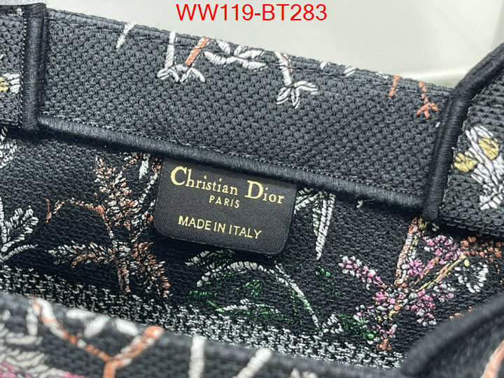 Dior Big Sale ID: BT283