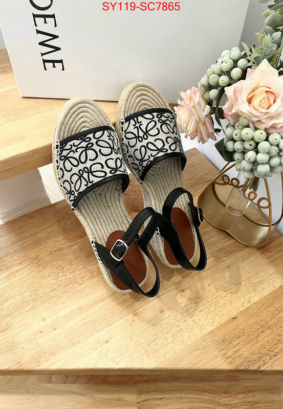 Women Shoes-Loewe fake high quality ID: SC7865 $: 119USD