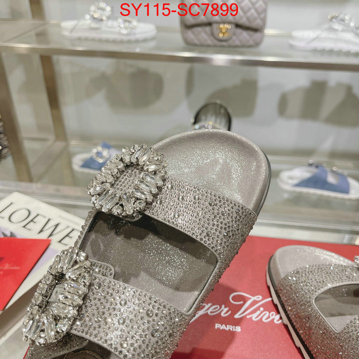 Women Shoes-Rogar Vivier best capucines replica ID: SC7899 $: 115USD