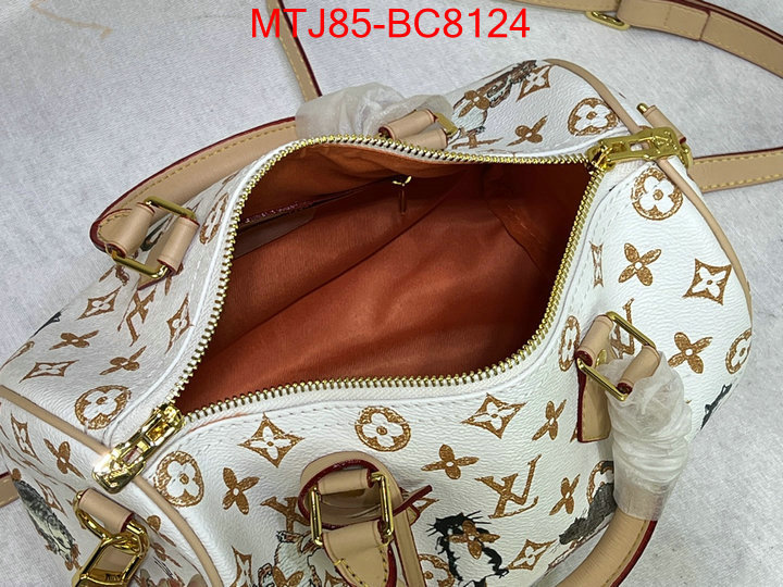 LV Bags(4A)-Speedy- buy 1:1 ID: BC8124 $: 85USD,