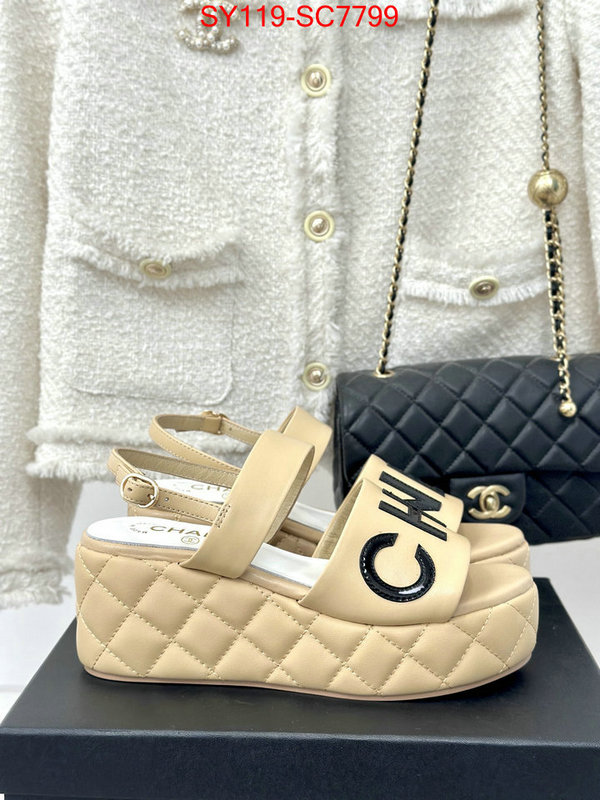 Women Shoes-Chanel the online shopping ID: SC7799 $: 119USD