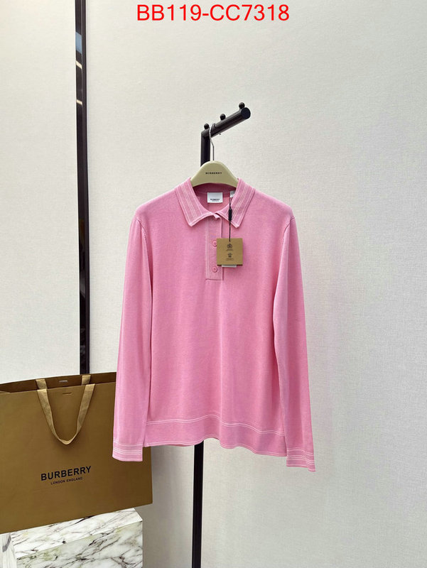 Clothing-Burberry china sale ID: CC7318 $: 119USD