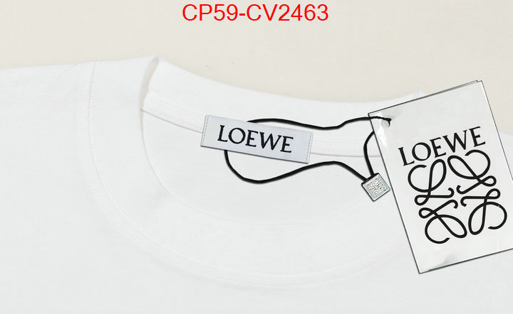 Clothing-Loewe new ID: CV2463 $: 59USD