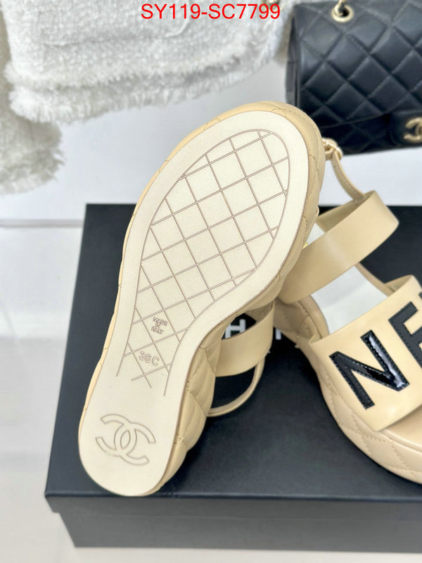 Women Shoes-Chanel the online shopping ID: SC7799 $: 119USD