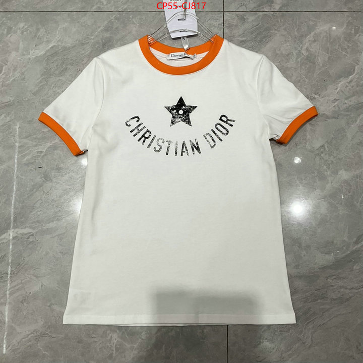 Clothing-Dior designer high replica ID: CJ817 $: 55USD