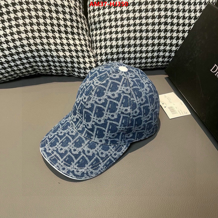 Cap (Hat)-Dior buy the best replica ID: HJ350 $: 37USD