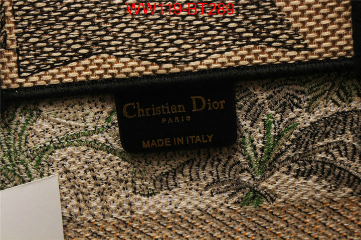 Dior Big Sale ID: BT289