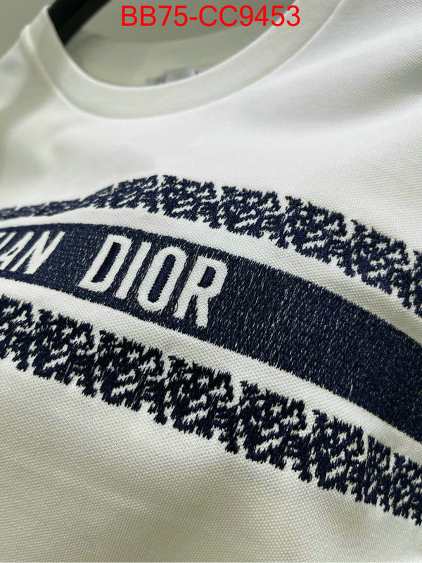 Clothing-Dior buy best quality replica ID: CC9453 $: 75USD