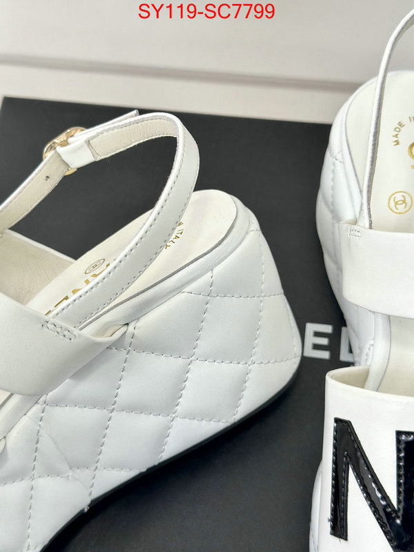 Women Shoes-Chanel the online shopping ID: SC7799 $: 119USD