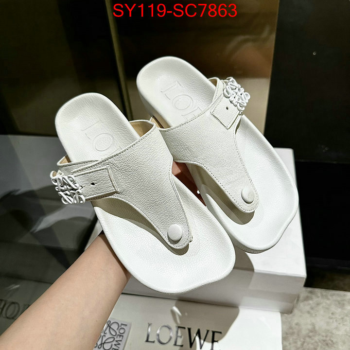 Women Shoes-Loewe where can i buy ID: SC7863 $: 119USD