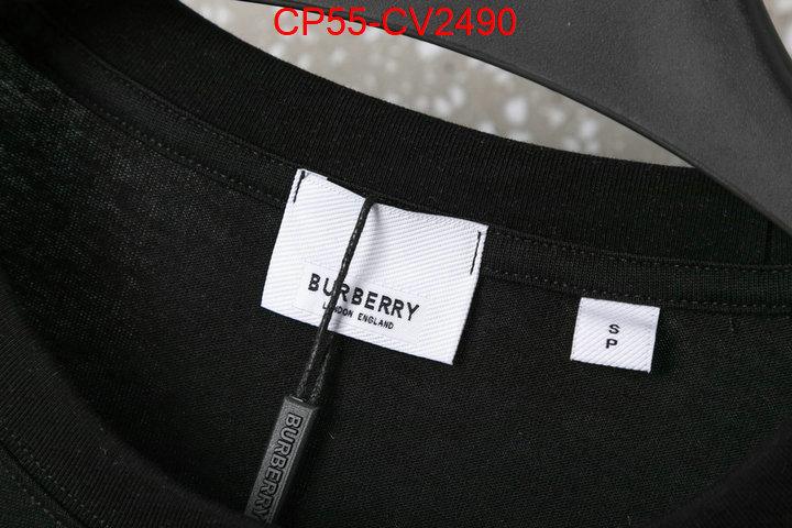 Clothing-Burberry the highest quality fake ID: CV2490 $: 55USD