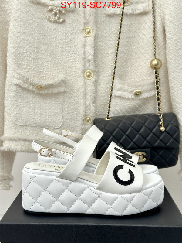 Women Shoes-Chanel the online shopping ID: SC7799 $: 119USD