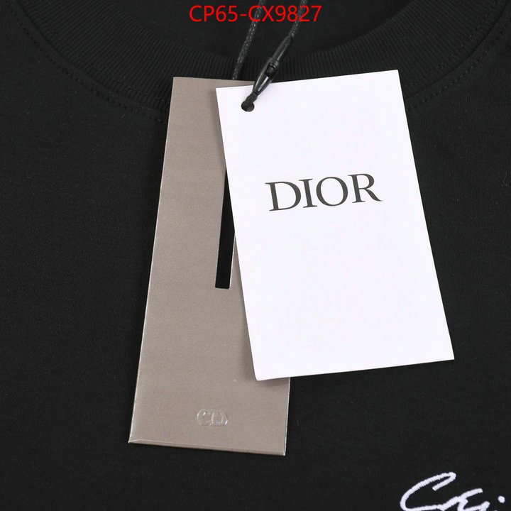 Clothing-Dior buy high quality cheap hot replica ID: CX9827 $: 65USD