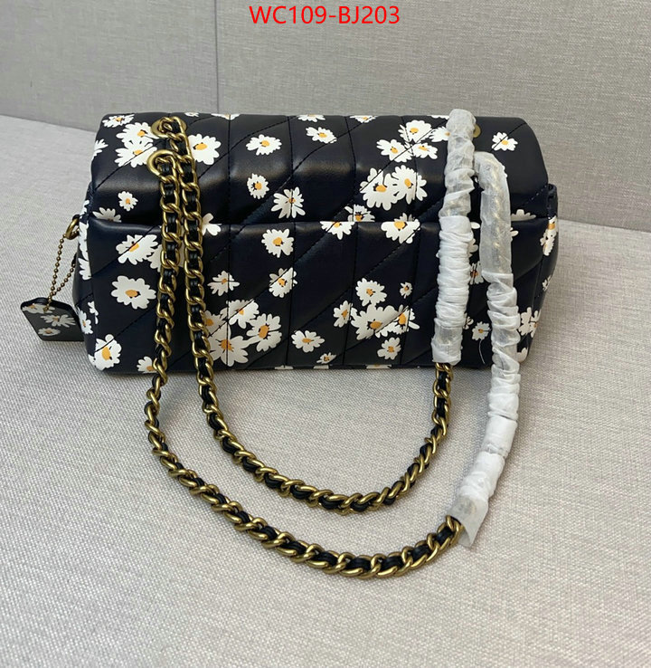 Coach Bags(4A)-Crossbody- best quality replica ID: BJ203 $: 109USD,