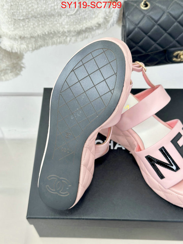 Women Shoes-Chanel the online shopping ID: SC7799 $: 119USD