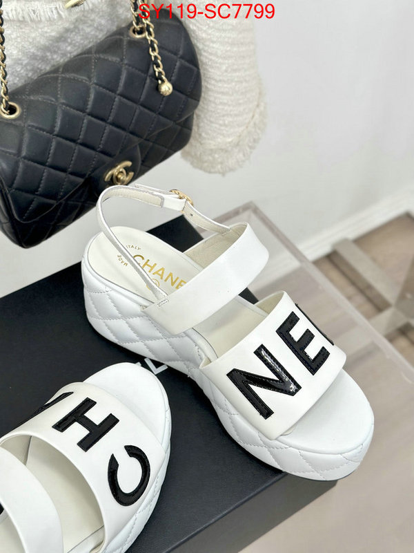 Women Shoes-Chanel the online shopping ID: SC7799 $: 119USD